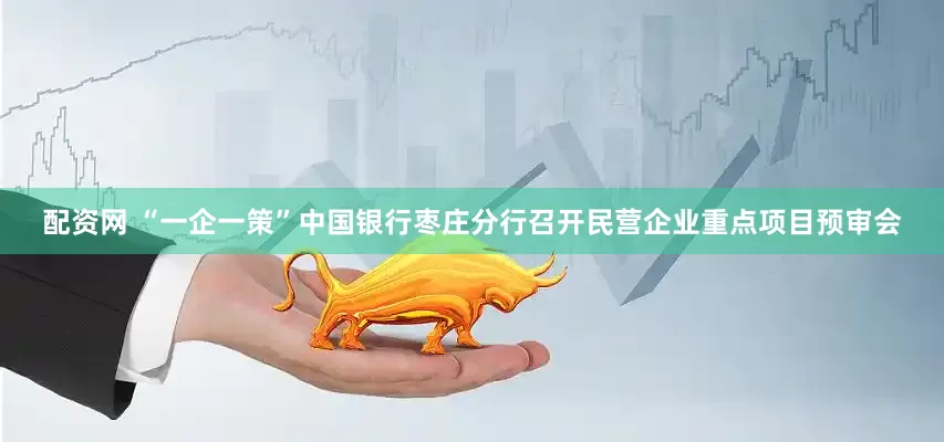 配资网 “一企一策”中国银行枣庄分行召开民营企业重点项目预审会