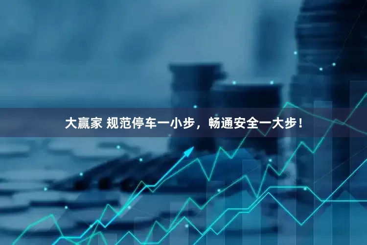 大赢家 规范停车一小步，畅通安全一大步！