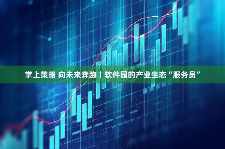 掌上策略 向未来奔跑丨软件园的产业生态“服务员”