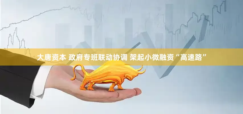 大唐资本 政府专班联动协调 架起小微融资“高速路”