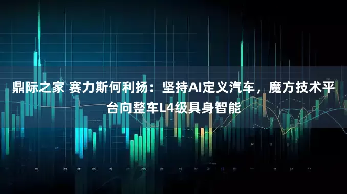鼎际之家 赛力斯何利扬：坚持AI定义汽车，魔方技术平台向整车L4级具身智能