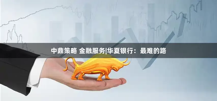 中鼎策略 金融服务|华夏银行：最难的路