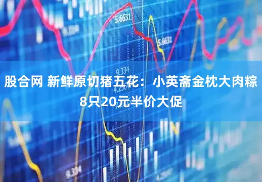 股合网 新鲜原切猪五花：小英斋金枕大肉粽8只20元半价大促